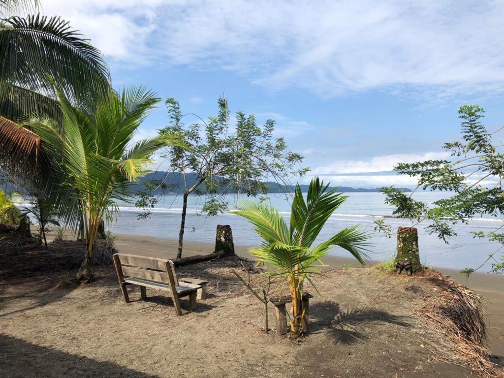 Paraiso Escondido Bahia Solano Extérieur photo
