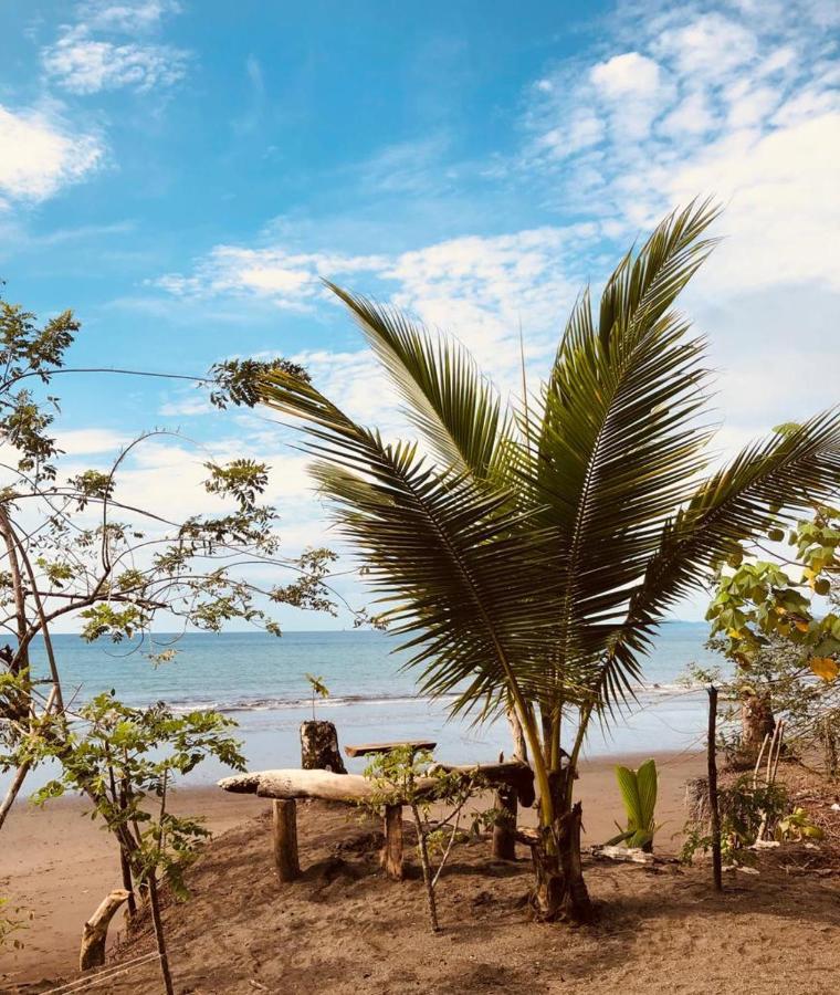 Paraiso Escondido Bahia Solano Extérieur photo